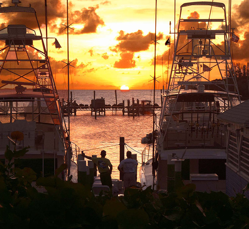 photo of yachts at the marina viewing the sunset