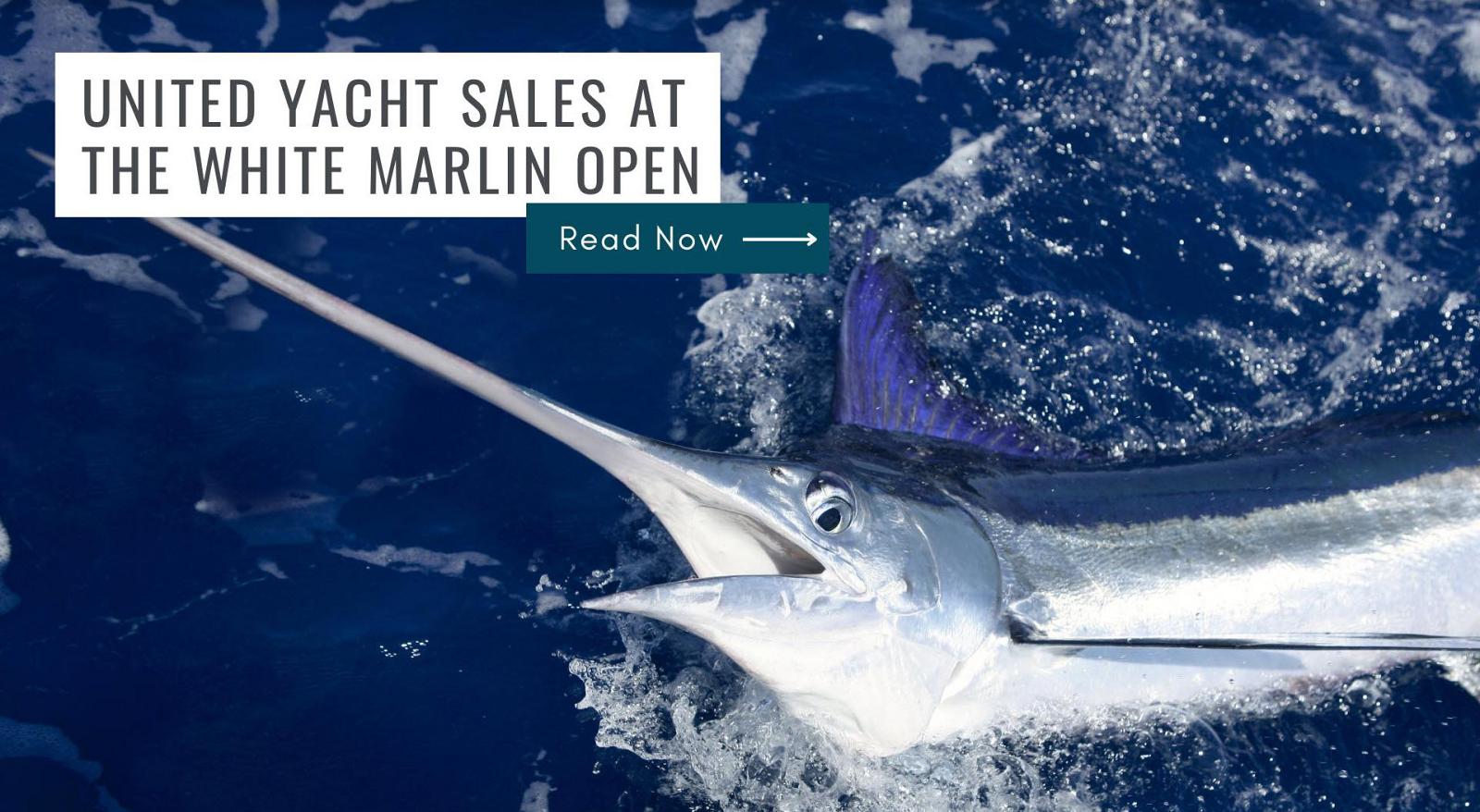 Photo of United Yacht Sales Sponsoring, Fishing The 2023 White Marlin Open